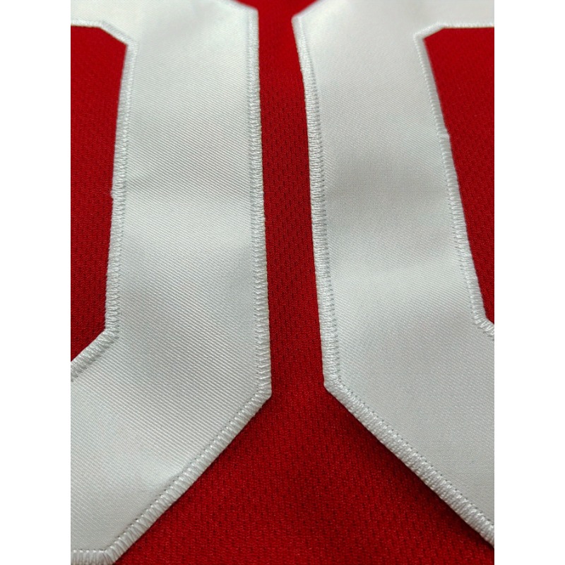 Maglia da basket con nome e nu - Embroidery Name recensione e prezzo